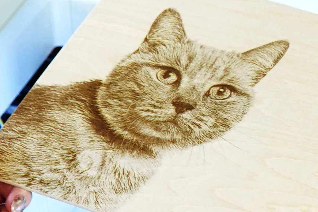 Engraved cat portrait
