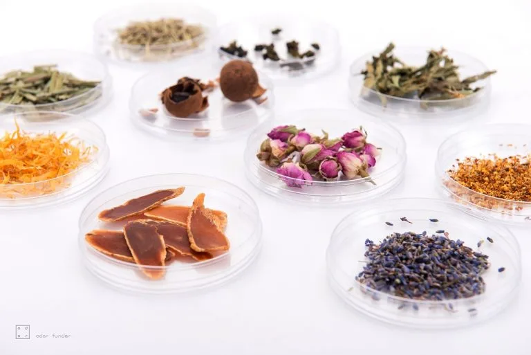 Fragrance ingredients arranged in laboratory dishes